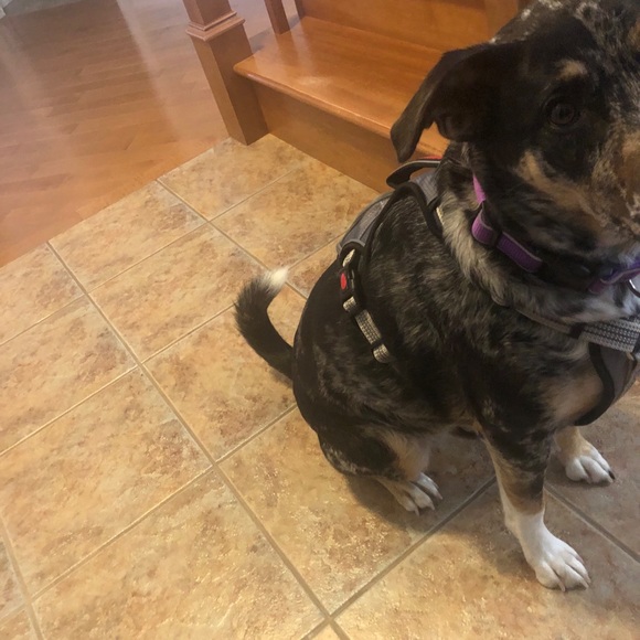 Meet your Posher, Jennifer - Picture 1 of 1